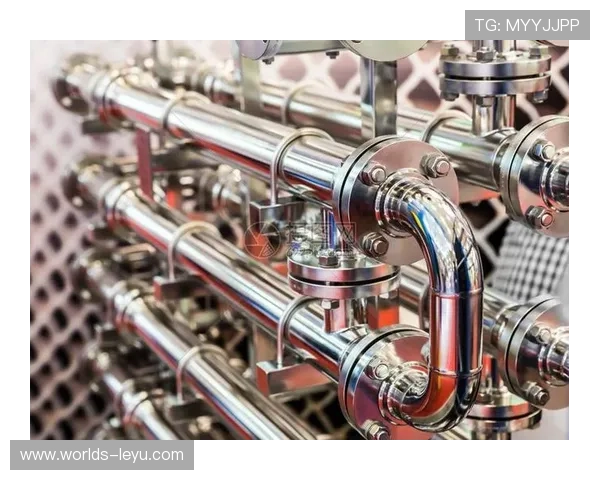 leyu乐鱼电竞app官网登录入口最新官方入口全流程指南推荐让你轻松畅享乐鱼电竞赛事体验最新便捷的登录入口在线操作教程