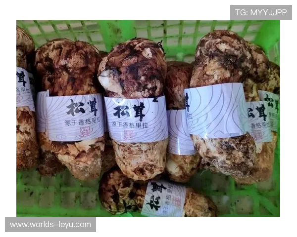 乐鱼客户端下载后首页加载异常的原因及解决策略全解