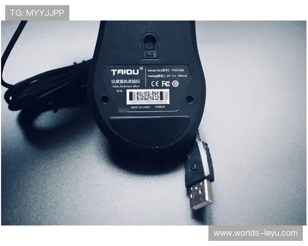 乐鱼电竞客户端注册与登录流程详解，帮助新手快速上手电竞平台