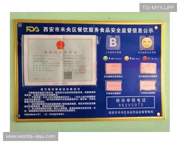 乐鱼网站安全保障措施细节全面介绍保障用户隐私与资金安全